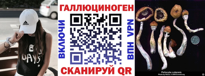 Галлюциногенные грибы GOLDEN TEACHER  Купить где  Кукмор 